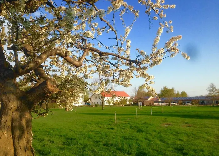 Ferienwohnung Zweinig 01